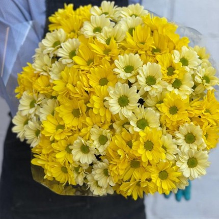желтая кустовая хризантема - купить с доставкой в по Грязи